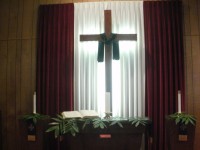 Palm Branches on the altar