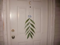 Palm branch on my door