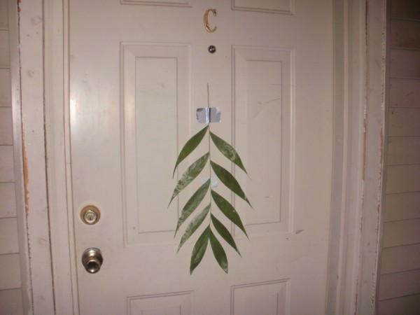 Palm branch on my door