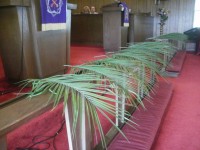 palm sunday