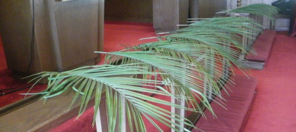 palm sunday