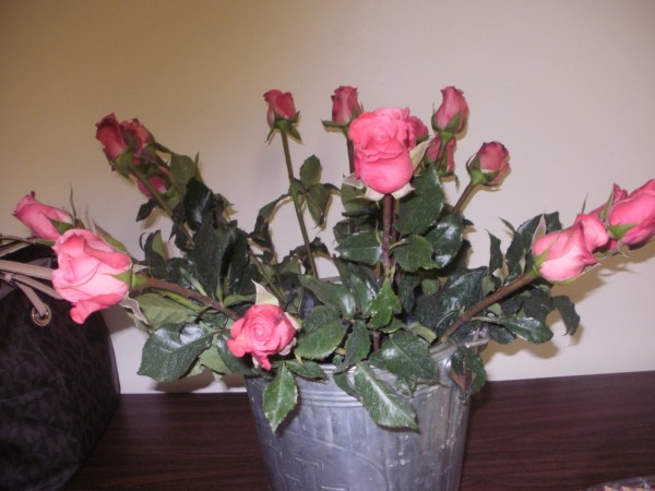 mothers day roses