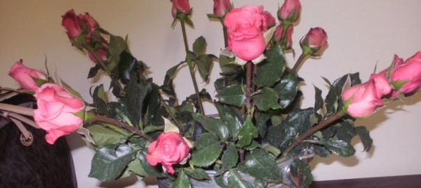 mothers day roses