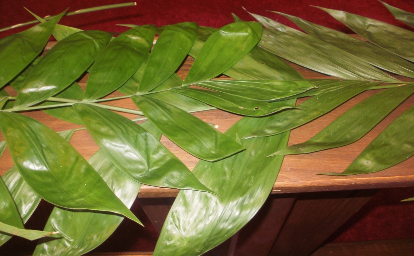 Palm Sunday 2022