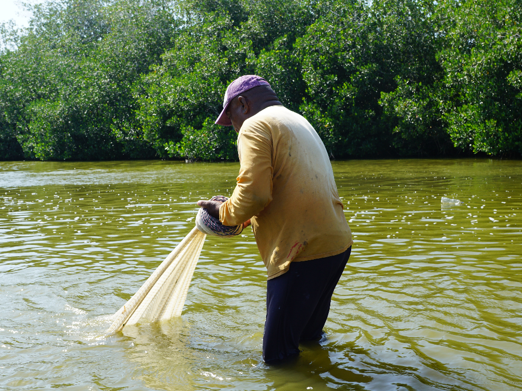 fishing in river with net