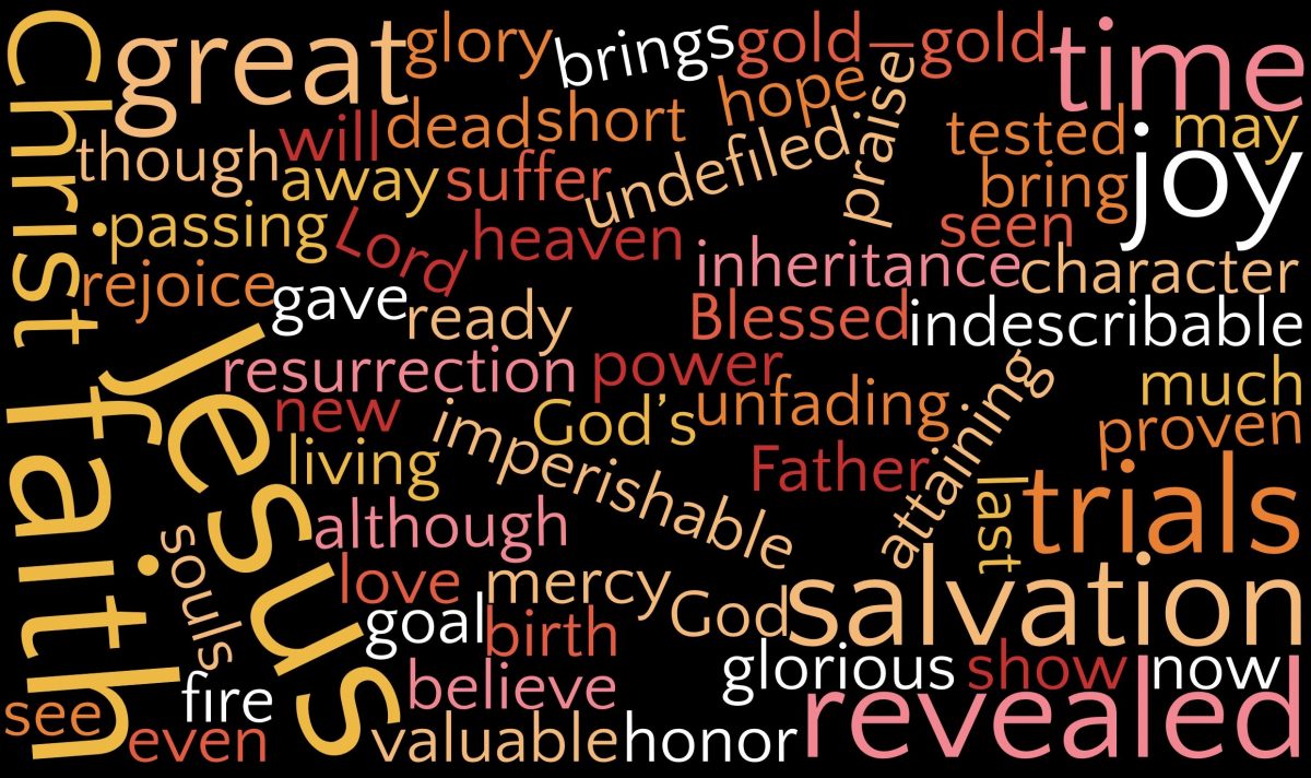 wordcloud