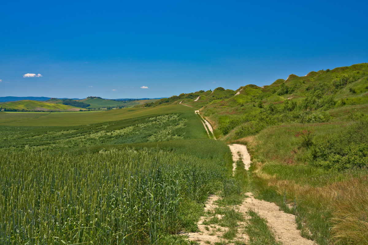 walking path