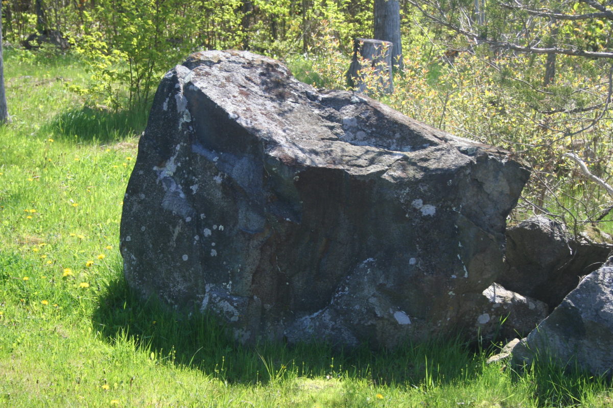 The Rock